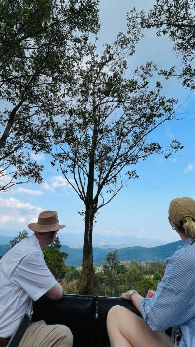 W15 Hanthana Estate - Kandy в январе — фото погоды (2026-01-13)