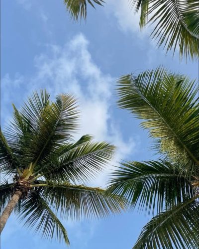 Isla Cozumel, Quintana Roo, Mexico в июне — фото погоды (2026-06-28)