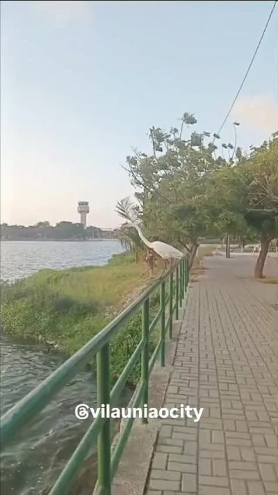 Bairro Vila Uniao в октябре — фото погоды (2025-10-16)