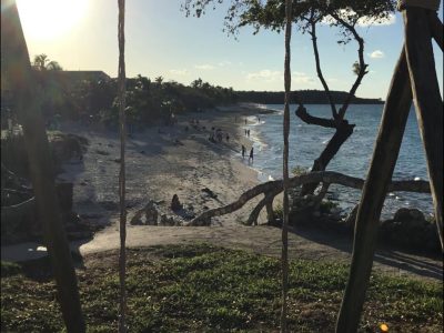 Paradisus Rio De Oro в ноябре — фото погоды (2025-11-23)
