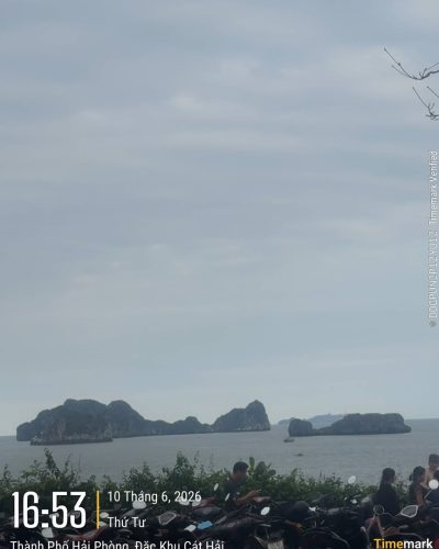 Flamingo Cat Ba Resorts — фото погоды в июне (2026-06-10)
