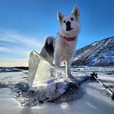 Khalaktyrka, Kamchatskaya Oblast', Russia в январе — фото погоды (2023-01-20)