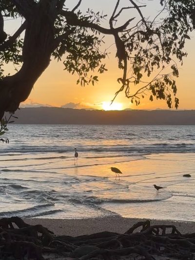 Nacascolo, Guanacaste, Costa Rica в январе — фото погоды (2026-01-21)