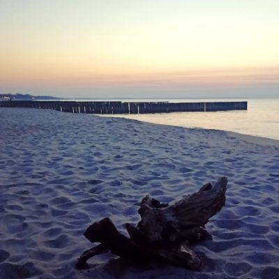 Kranz, Baltic Sea в марте — фото погоды (2026-03-14)