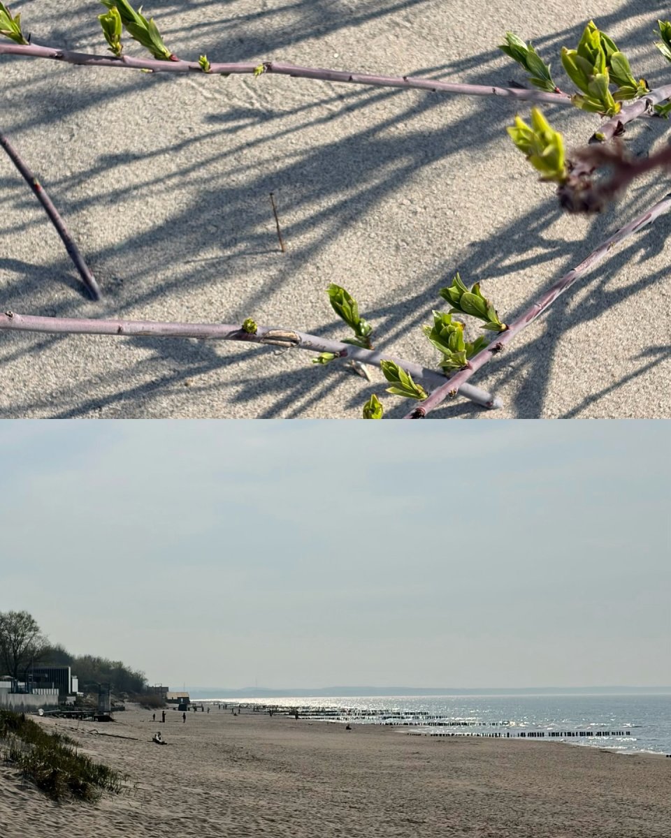 Погода в Kranz, Baltic Sea