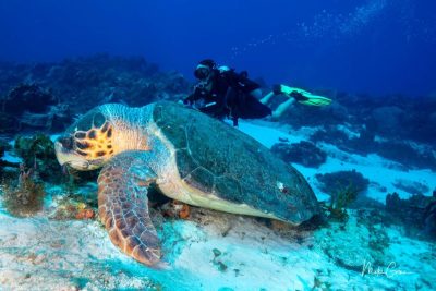 Isla de Cozumel México в декабре — фото погоды (2025-12-03)