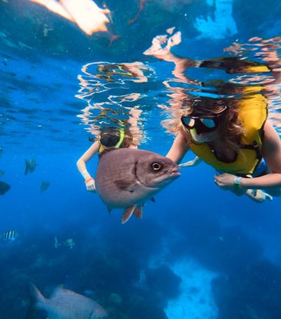 Isla de Cozumel México в декабре — фото погоды (2025-12-30)