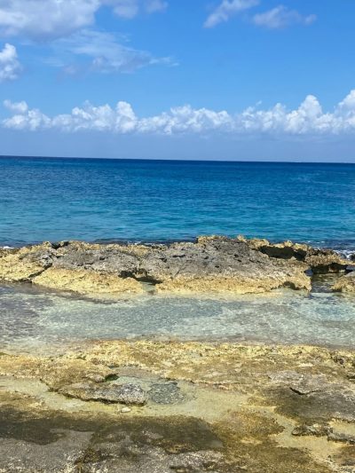 Isla de Cozumel México в апреле — фото погоды (2026-04-16)