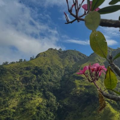 Little Adam's Peak,ella,sri Lanka в феврале — фото погоды (2026-02-14)