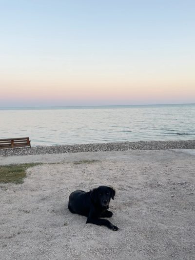 Bambora, Abkhazia, Georgia в июне — фото погоды (2026-06-06)