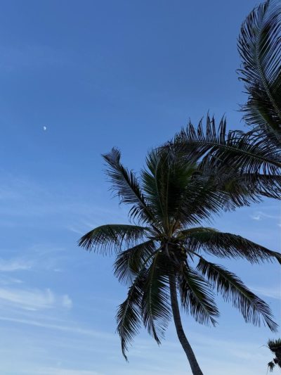 Tulum, Quintana Roo в июле — фото погоды (2026-07-22)