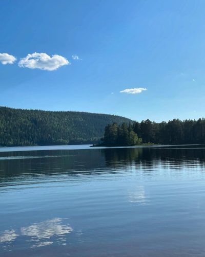 Paanajärvi National Park в июле — фото погоды (2025-07-22)