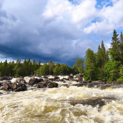 Paanajärvi National Park в августе — фото погоды (2025-08-12)