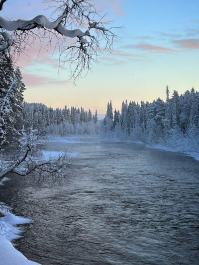 Paanajärvi National Park в феврале — фото погоды (2026-02-16)
