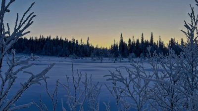 Paanajärvi National Park в феврале — фото погоды (2026-02-27)