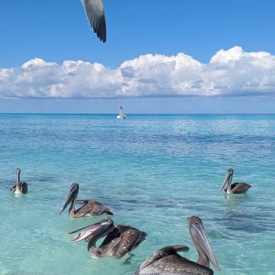 Cayo Santa Maria в ноябре — фото погоды (2025-11-17)
