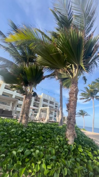 Dreams Puerto Morelos Resort & Spa в июле — фото погоды (2026-07-23)