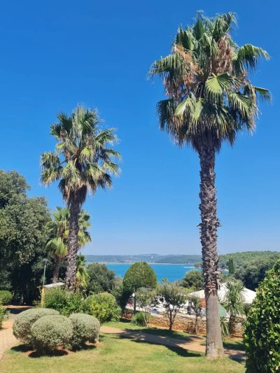Valamar Club Hotel Tamaris — фото погоды в августе (2025-08-12)