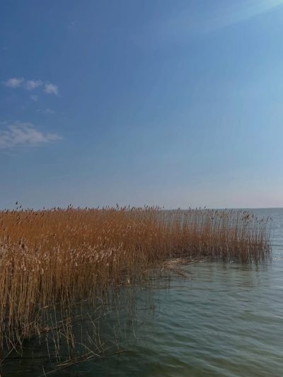 Curonian Spit в сентябре — фото погоды (2025-09-04)