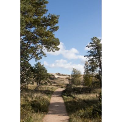 Curonian Spit в ноябре — фото погоды (2025-11-09)