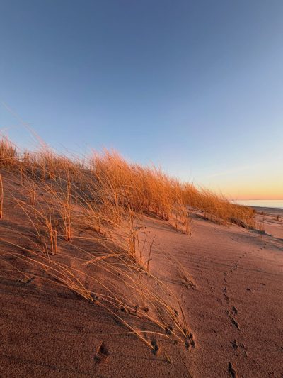 Куршская коса в мае — фото погоды (2026-05-05)