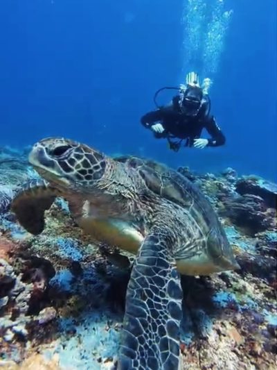 Komodo National Park в июле — фото погоды (2026-07-18)