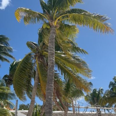 Isla Mujeres, Caribbean Sea в ноябре — фото погоды (2025-11-05)