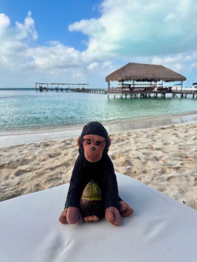 Isla Mujeres, Caribbean Sea в ноябре — фото погоды (2025-11-29)