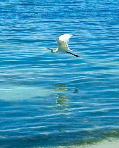 Isla Mujeres, Caribbean Sea в декабре — фото погоды (2025-12-18)