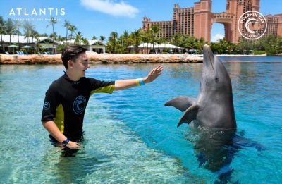 Atlantis Paradise Island в июне — фото погоды (2026-06-30)