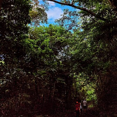 Cát Bà National Park в августе — фото погоды (2025-08-20)
