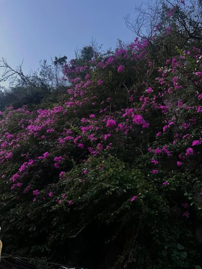 Cát Bà National Park в апреле — фото погоды (2026-04-30)