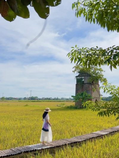 LÒ GẠCH CŨ - Farm, Food, Coffee, Home & More в январе — фото погоды (2026-01-20)