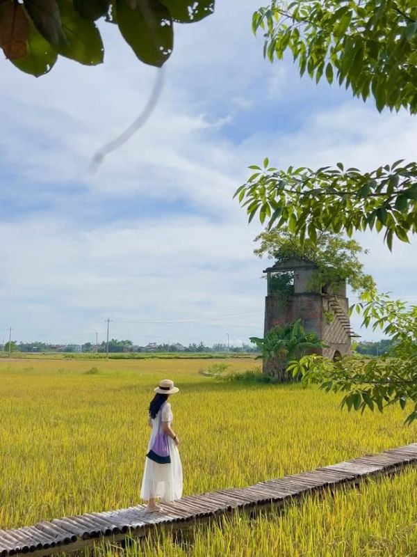 Погода в Nam Hoi An