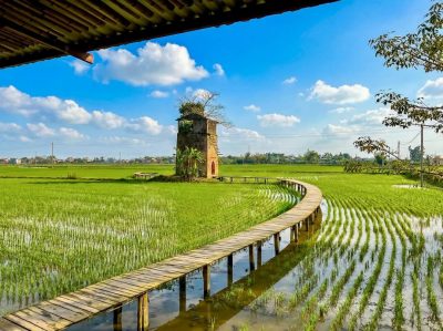 LÒ GẠCH CŨ - Farm, Food, Coffee, Home & More в январе — фото погоды (2026-01-22)