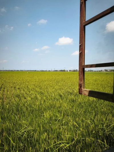 LÒ GẠCH CŨ - Farm, Food, Coffee, Home & More в марте — фото погоды (2026-03-25)