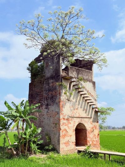 LÒ GẠCH CŨ - Farm, Food, Coffee, Home & More в марте — фото погоды (2026-03-31)