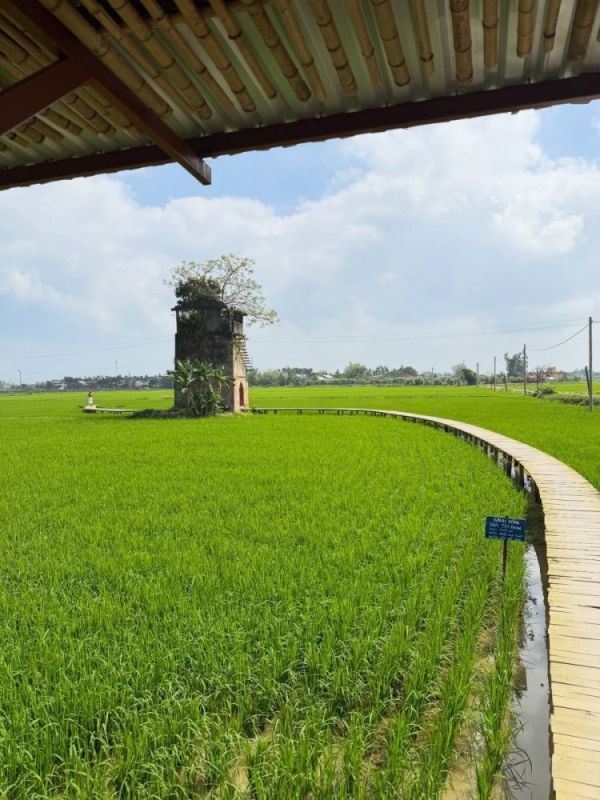 Погода в Nam Hoi An