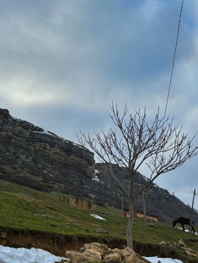Tarki, Dagestan, Russia в марте — фото погоды (2026-03-01)