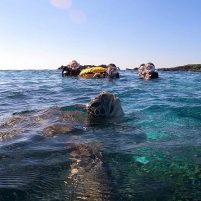 Miyakojima, Okinawa в июне — фото погоды (2026-06-26)