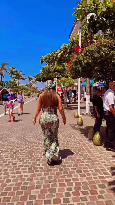 Puerto Vallarta  Malacon в апреле — фото погоды (2025-04-14)
