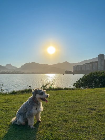 Rodrigo de Freitas Lagoon в сентябре — фото погоды (2025-09-22)