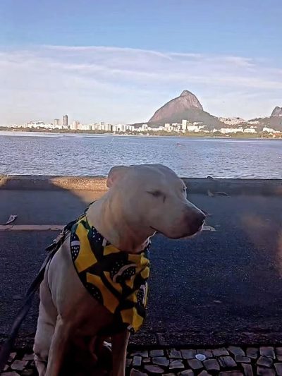 Rodrigo de Freitas Lagoon в июне — фото погоды (2026-06-29)