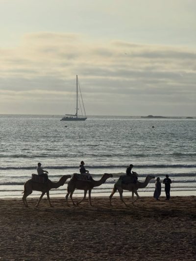 Mogador, Essaouira, Morocco в июле — фото погоды (2026-07-21)