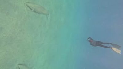 Marsa `Alam, Al Bahr Al Ahmar, Egypt в июле — фото погоды (2026-07-15)