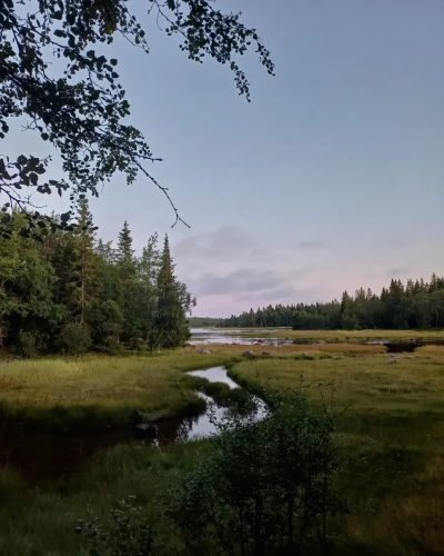 Solovets, Arkhangel'Skaya Oblast', Russia в августе — фото погоды (2024-08-11)