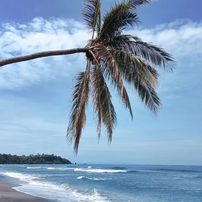 Mangsit, Nusa Tenggara Barat, Indonesia в феврале — фото погоды (2026-02-26)