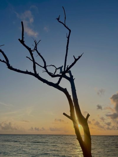 Naifaru, Kaafu, Maldives в сентябре — фото погоды (2025-09-27)