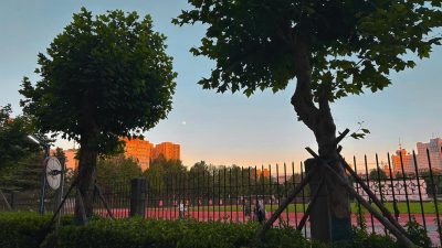 Xi'an Jiaotong University в мае — фото погоды (2026-05-29)