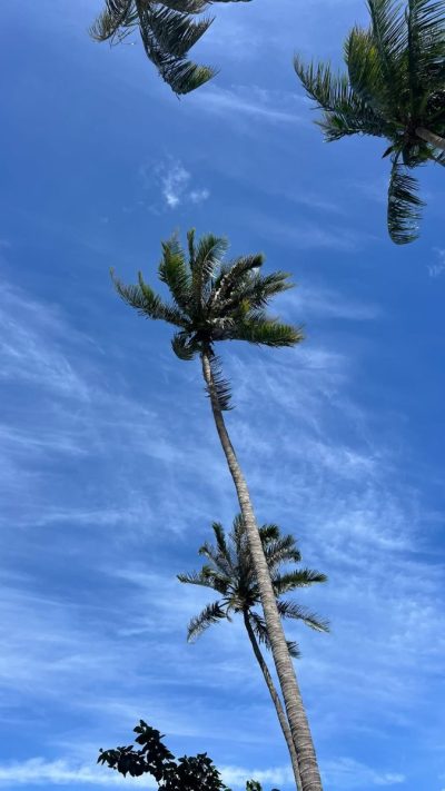 Tinidee Hideaway Tonsai Beach Krabi в июне — фото погоды (2026-06-28)